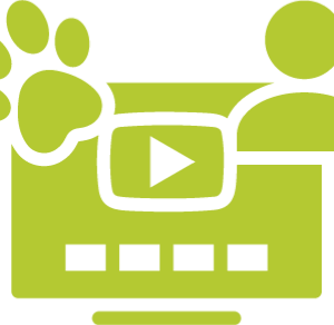 Webinar-Aufzeichnung