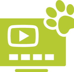 Webinar-Aufzeichnung