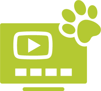 Webinar-Aufzeichnung